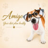 Amigo - Your Diet Plan Buddy