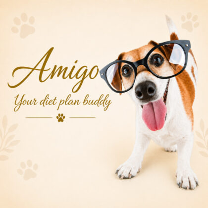 Amigo - Your Diet Plan Buddy
