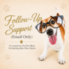 Follow-Up Support (Email Only)