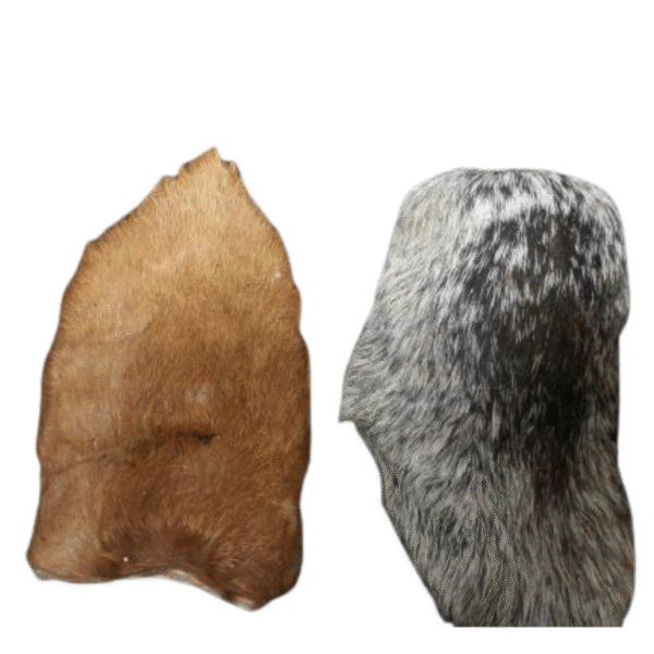 Freeze-Dried Goat Ears - Image 2