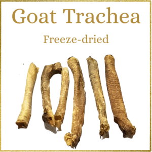 Freeze-Dried Goat Trachea