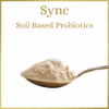 Sync