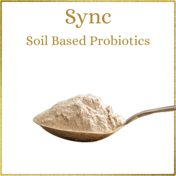 Sync, Elixir and Link+ - Image 4