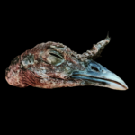 Freeze-Dried Turkey Head (2 pieces)