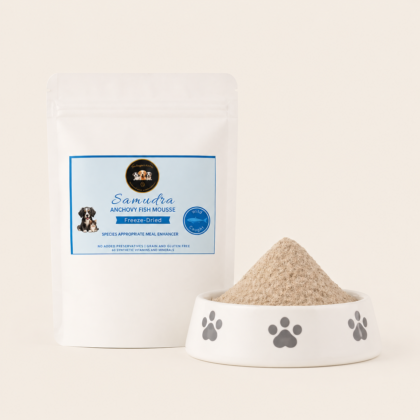 Samudra: Freeze-Dried Anchovy Mousse