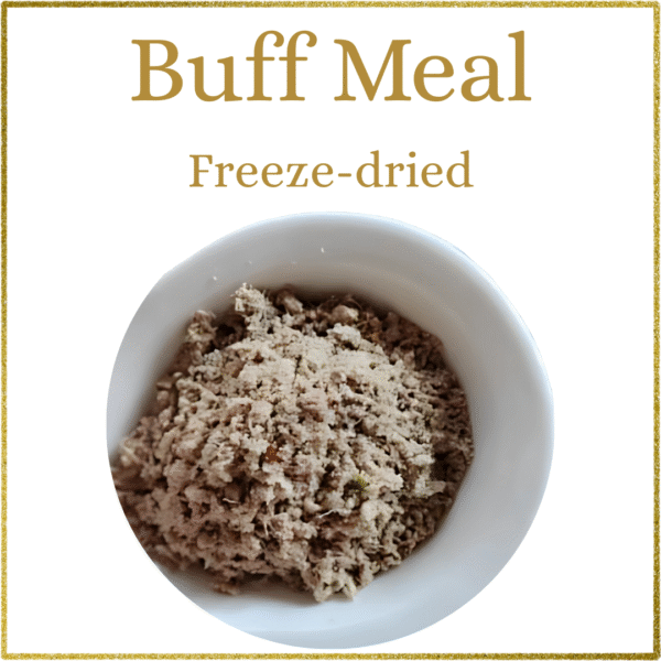 Basics: Freeze-Dried Meal Samplers - Image 4