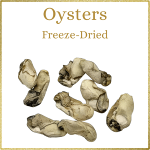 Samudra: Freeze-Dried Oysters