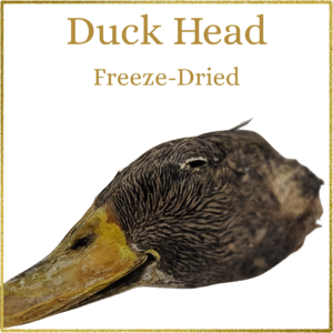 Snackies - Duck Head