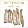 Freeze-Dried Buffalo Trachea
