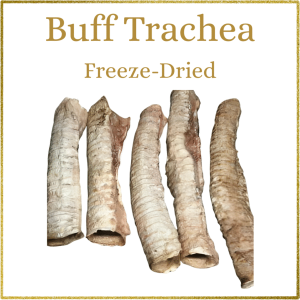 Freeze-Dried Buffalo Trachea