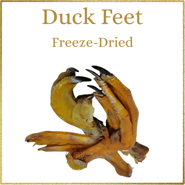 Snackies - Duck Feet
