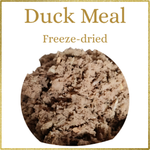 Basics: Freeze-Dried Duck Meal