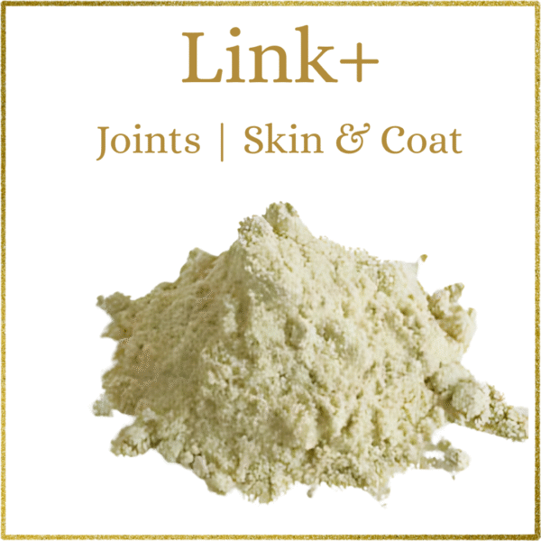 Sync, Elixir and Link+ - Image 5