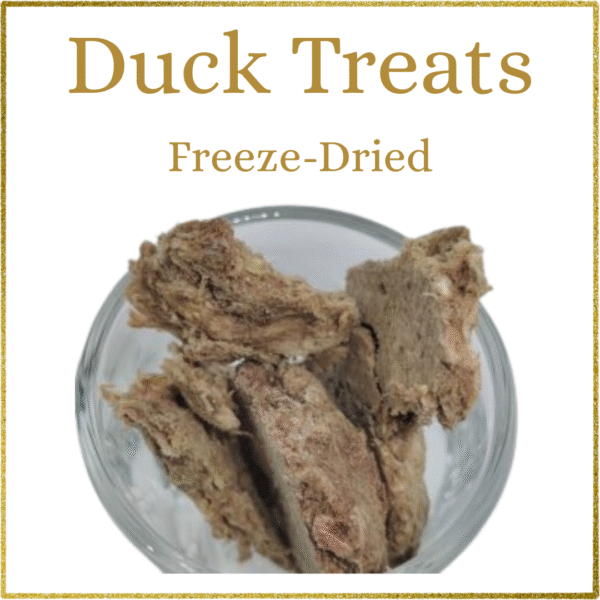 Freeze-Dried Duck Treats