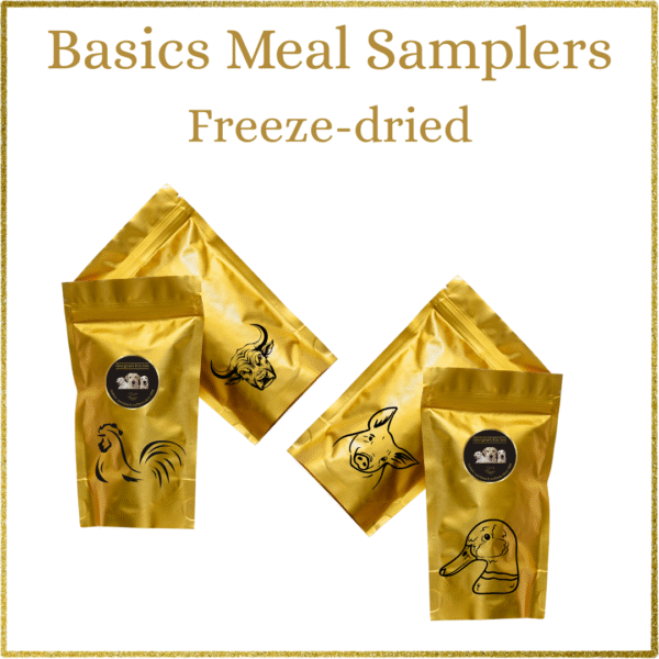 Basics: Freeze-Dried Meal Samplers