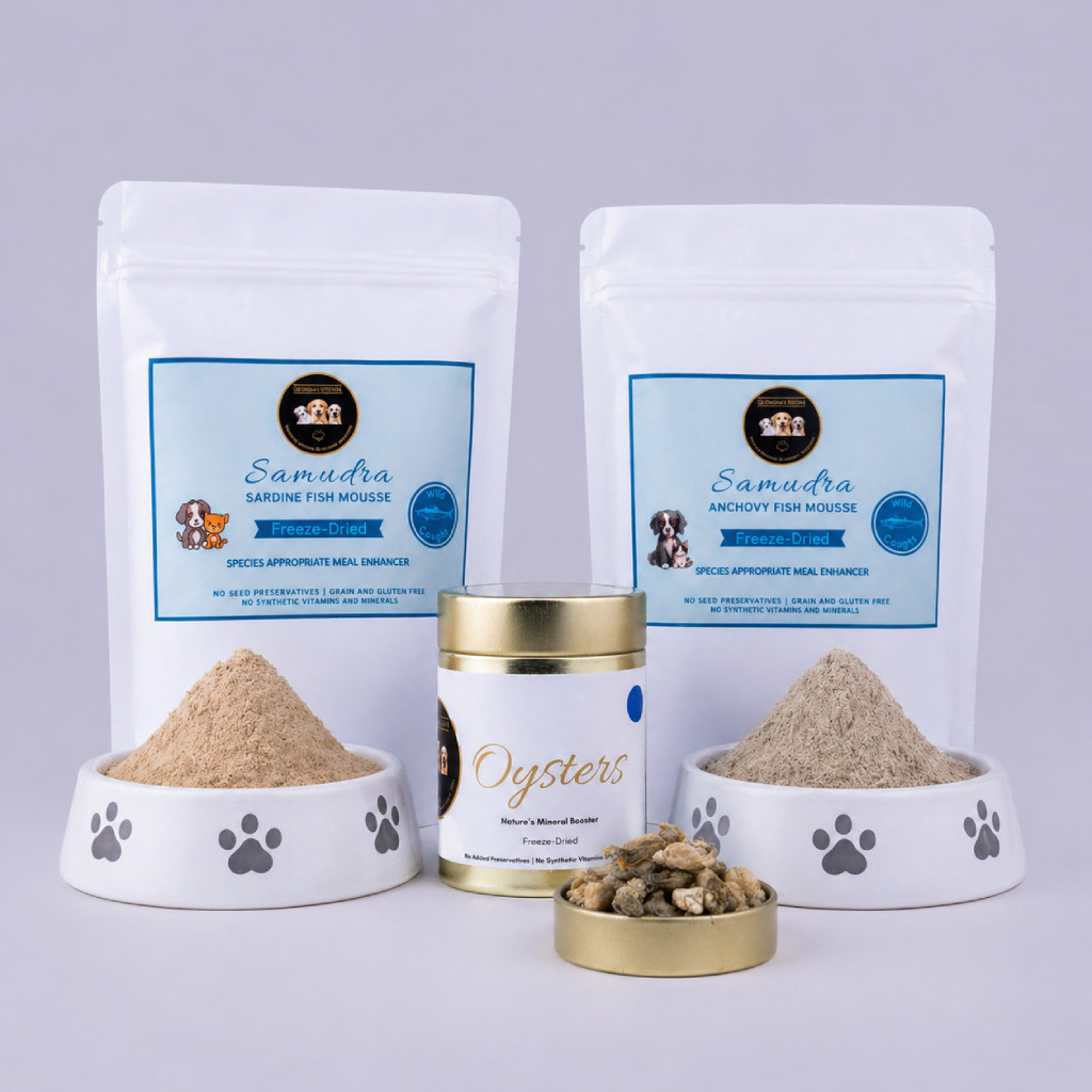 Samudra Bundle image