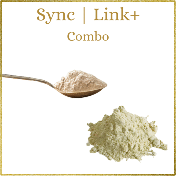 Sync and Link +