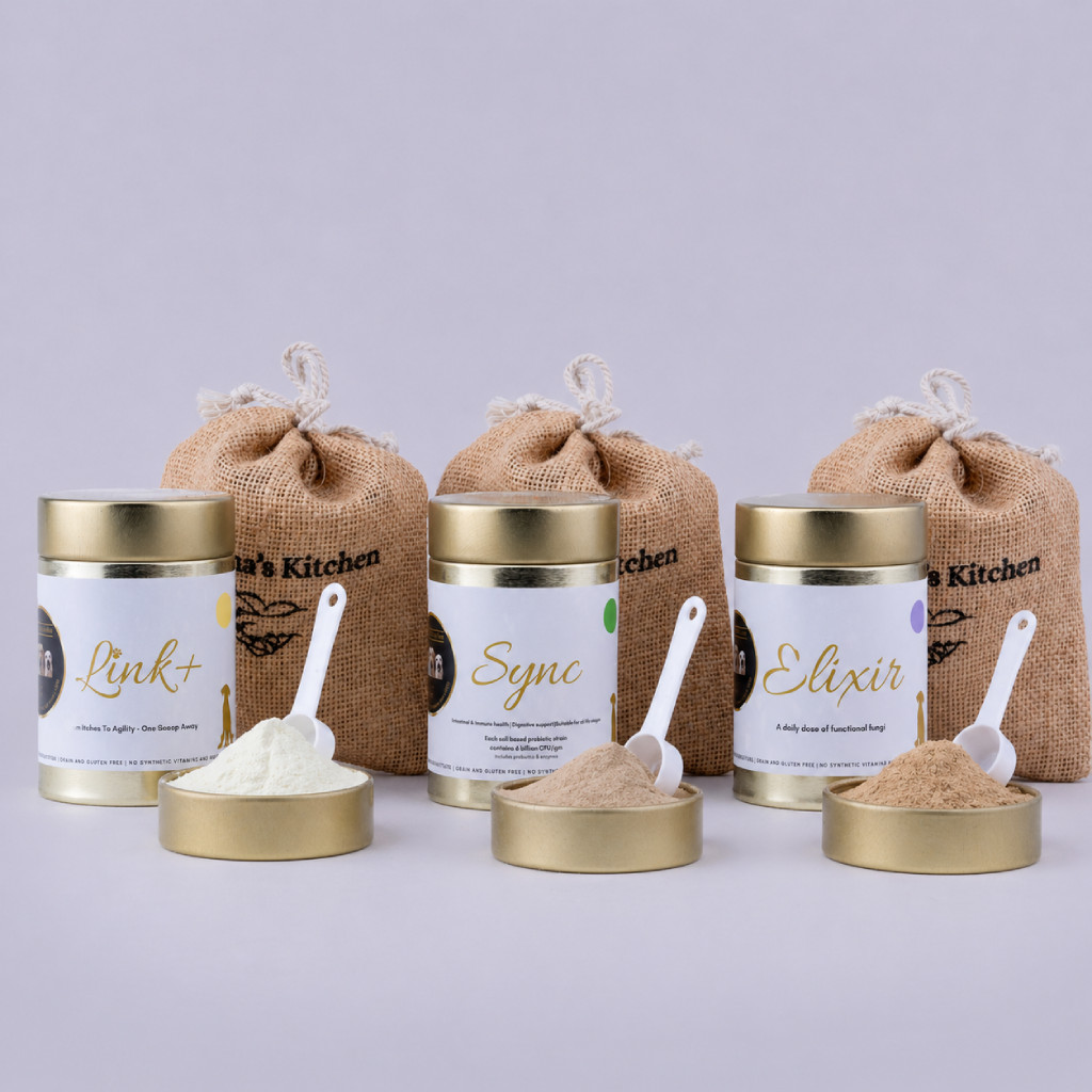 Sync Elixir and Link Bundle