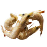 Samudra: Freeze-Dried Shrimp