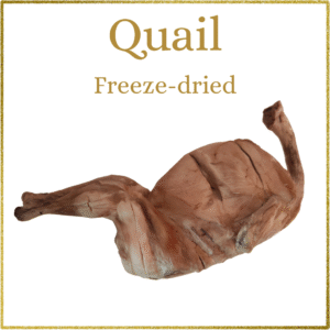 Quail
