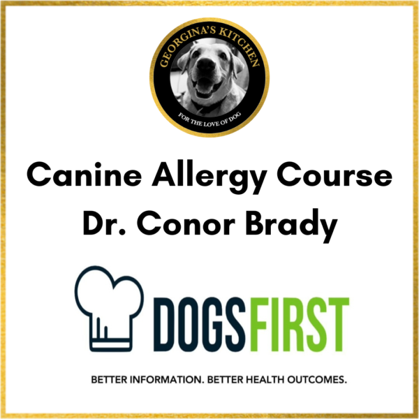 Canine Allergy Website listing