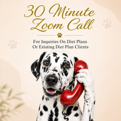 30 Minute Zoom Call For Inquiries On Diet Plans Or Existing Diet Plan Clients
