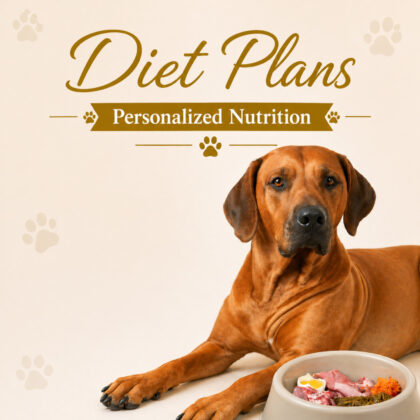 Diet Plans