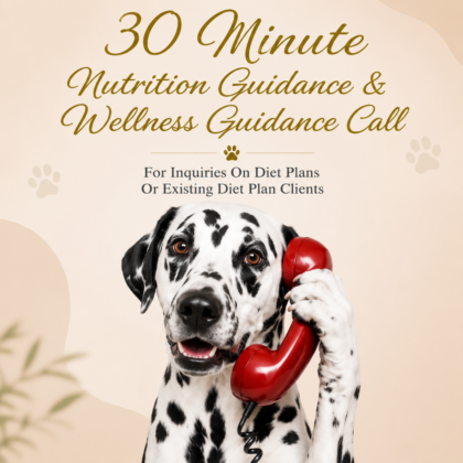 30 Minute Nutrition Guidance & Wellness Guidance Call
