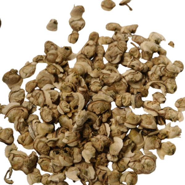 Samudra: Freeze-Dried Clams - Image 3