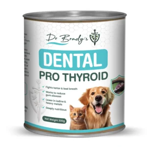 Dental 300g tub smaller