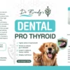 Dr Brady’s Dental ProThyroid – The natural way to clean teeth - Image 2