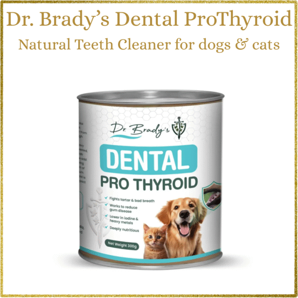 Dr Brady’s Dental ProThyroid – The natural way to clean teeth