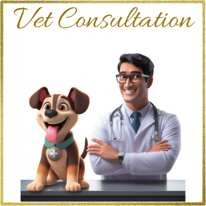 Vet Consultation