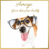 Amigo - Your Diet Plan Buddy