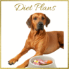 Diet Plans