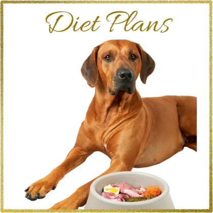 Diet Plans