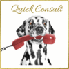 30 Minute Zoom Call For Inquiries On Diet Plans Or Existing Diet Plan Clients