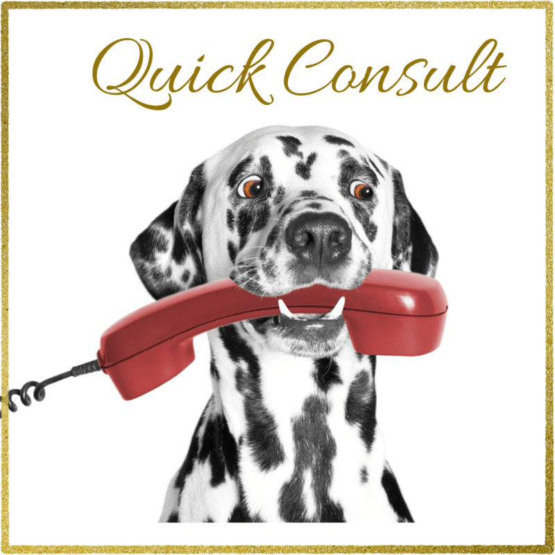 30 Minute Zoom Call For Inquiries On Diet Plans Or Existing Diet Plan Clients