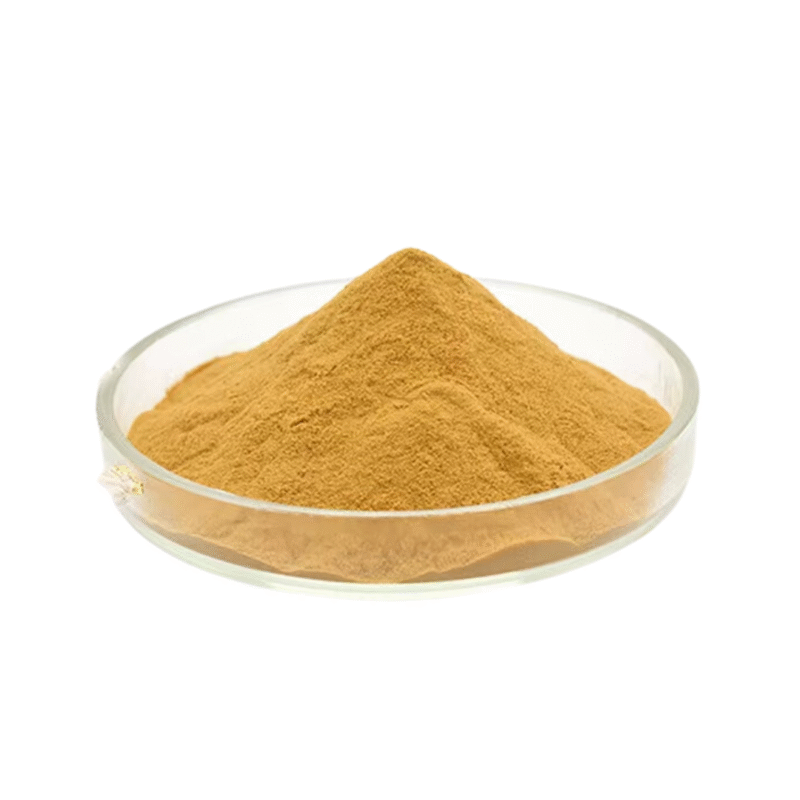BileBalance+ - Image 4