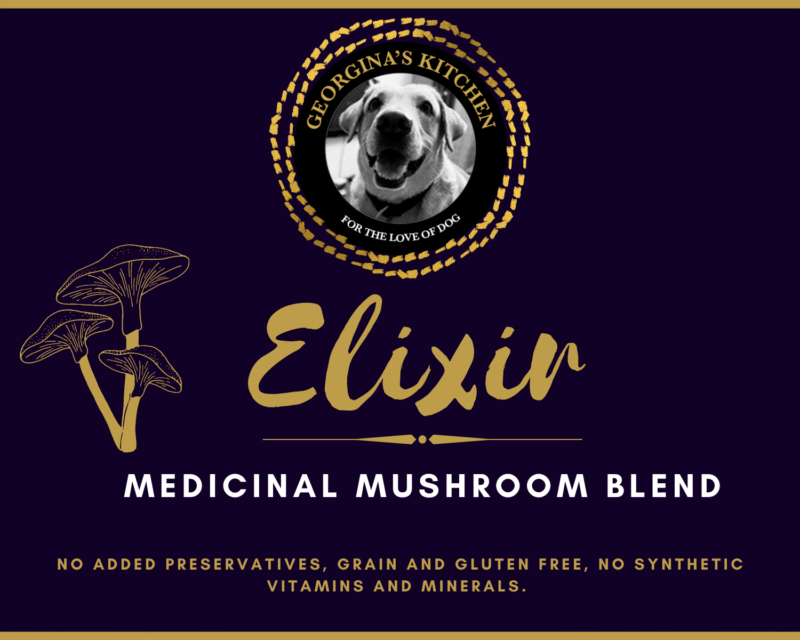 Elixir - Medicinal Mushroom Blend (80gm) - Image 2