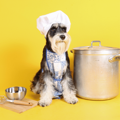 Filler Free Chicken Recipe - Cooked