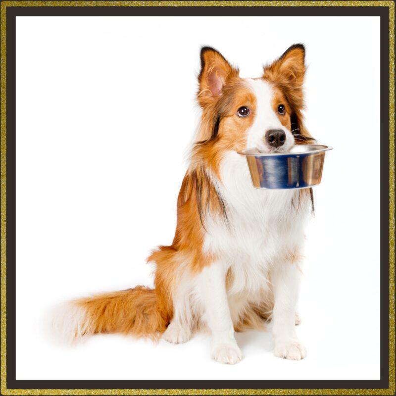 Diet Plans - Image 2