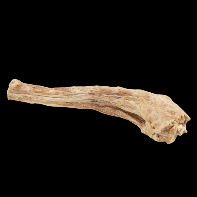 Freeze-Dried Turkey Necks (2 pieces)