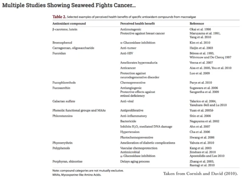 AC4 | Naturally assists in the fight with cancer in your pet - 150g - Image 3