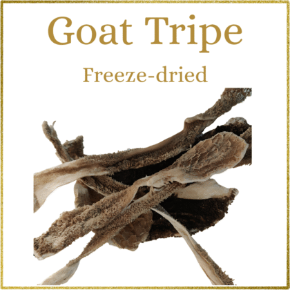 Goat Tripe