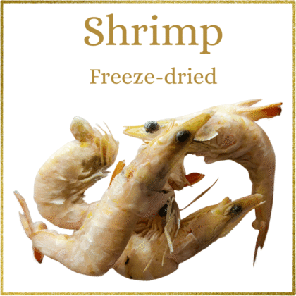 Samudra: Freeze-Dried Shrimp