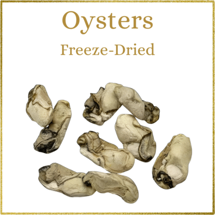 Samudra: Freeze-Dried Oysters