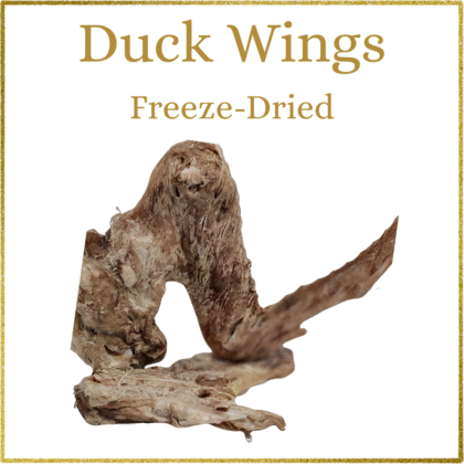 Snackies - Duck Wings