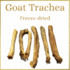 Freeze-Dried Goat Trachea