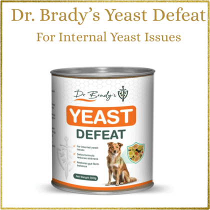 Dr Brady’s Yeast Defeat – For internal yeast issues in dogs